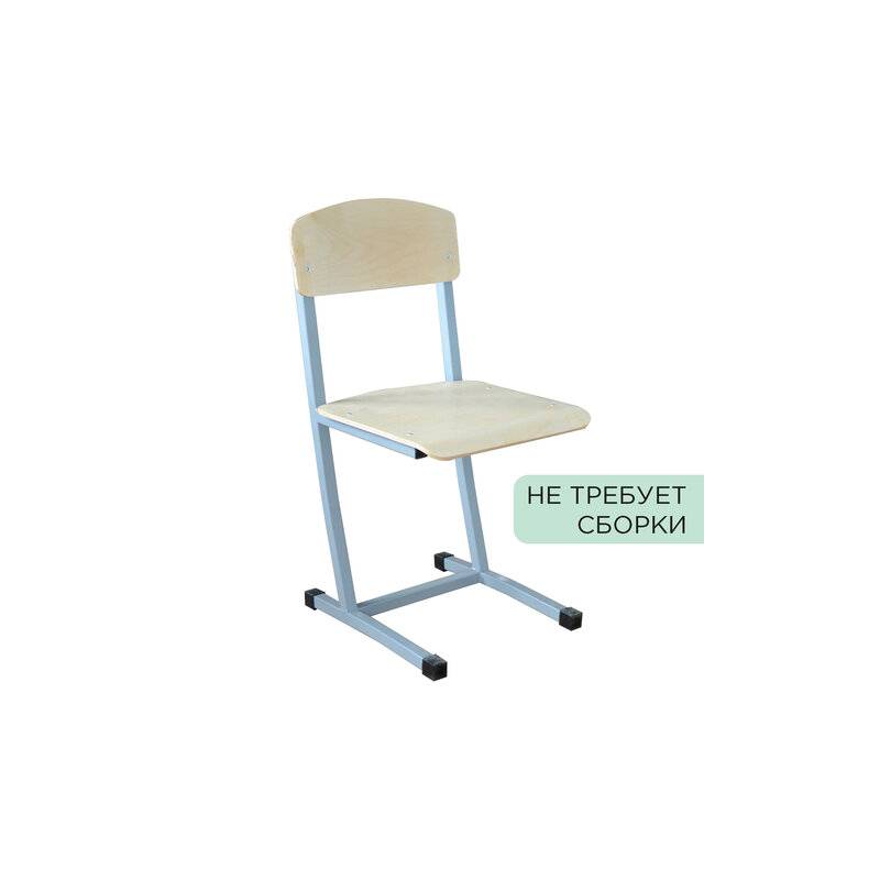 Стул ученический нерегулируемый "Бюджет", 380х480х800 мм, рост 6, серый каркас главное фото